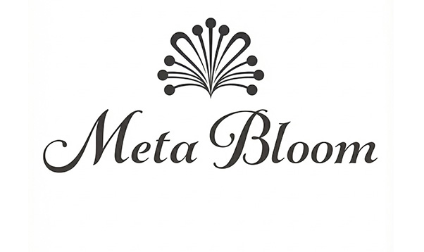 株式会社MetaBloomのご紹介 | 株式会社MetaBloom